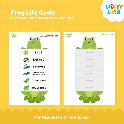 Frog Life Cycle Printable - Fun & Educational Science Activity for Kids