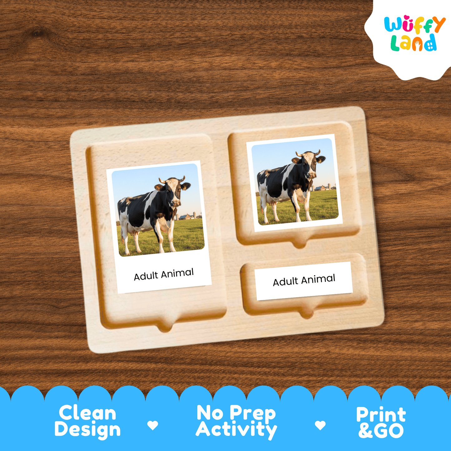 Cow Life Cycle Montessori 3-Part Cards - Science Zoology Farm Animal Flashcards