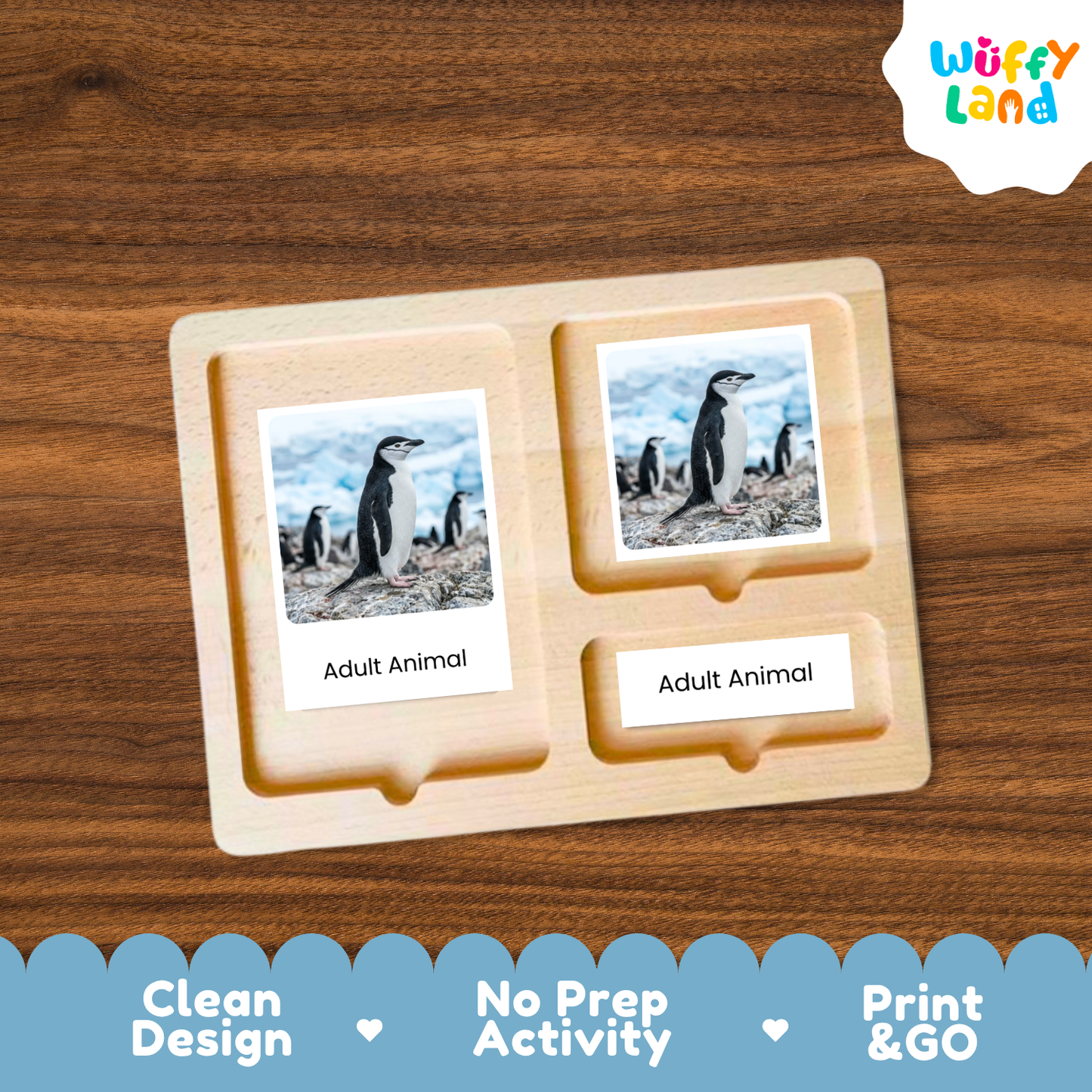 Chinstrap Penguin Life Cycle Flashcards | Montessori 3 Part Cards Science Activity