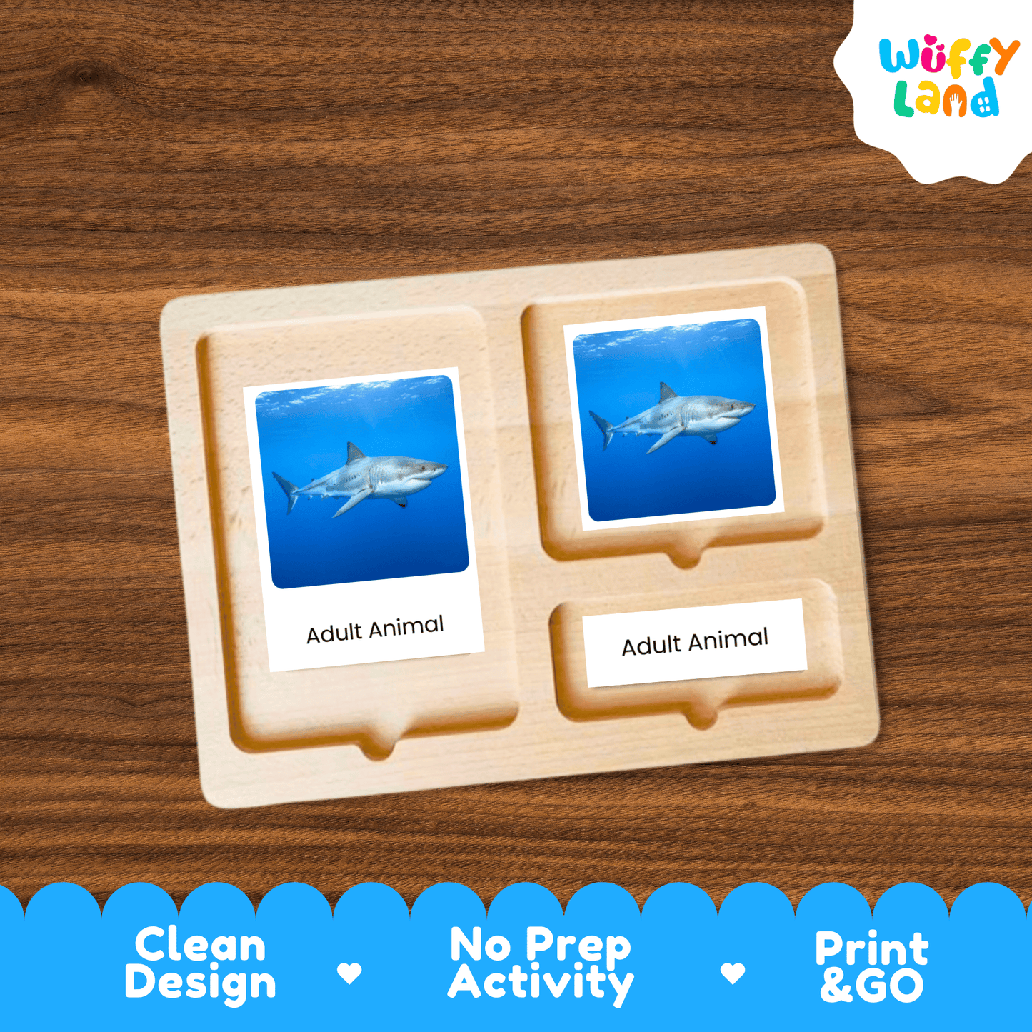 Shark Life Cycle Montessori 3-Part Cards - Science Zoology Marine Flashcards
