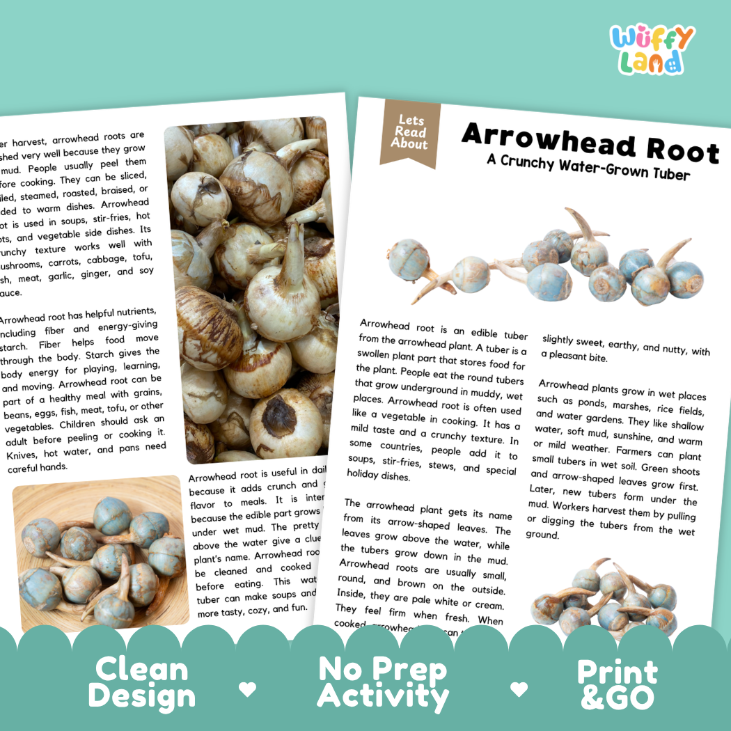 Arrowhead Root Reading Comprehension Passage and Questions Activity Pack