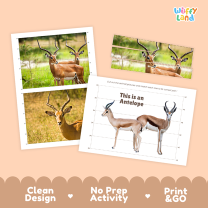 Three printable animal activity cards shown on a peach background, with the Wiffy Land logo in the top right and marketing text along the bottom: 'Clean Design', 'No Prep Activity', and 'Print & GO'. The cards feature antelope/gazelle photos and a worksheet labeled 'This is an Antelope'.
