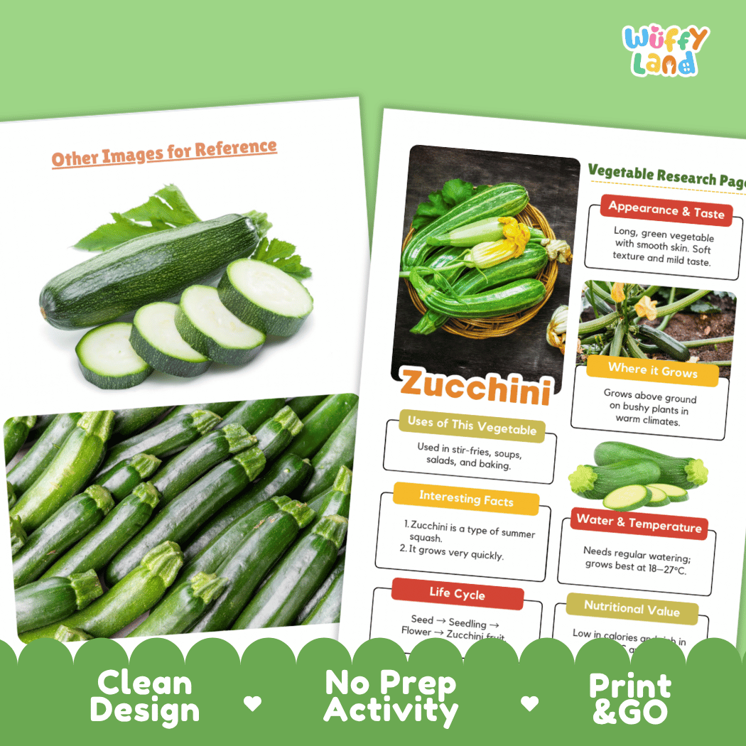 Zucchini Vegetable Research Page Science Worksheets and Fact Sheet