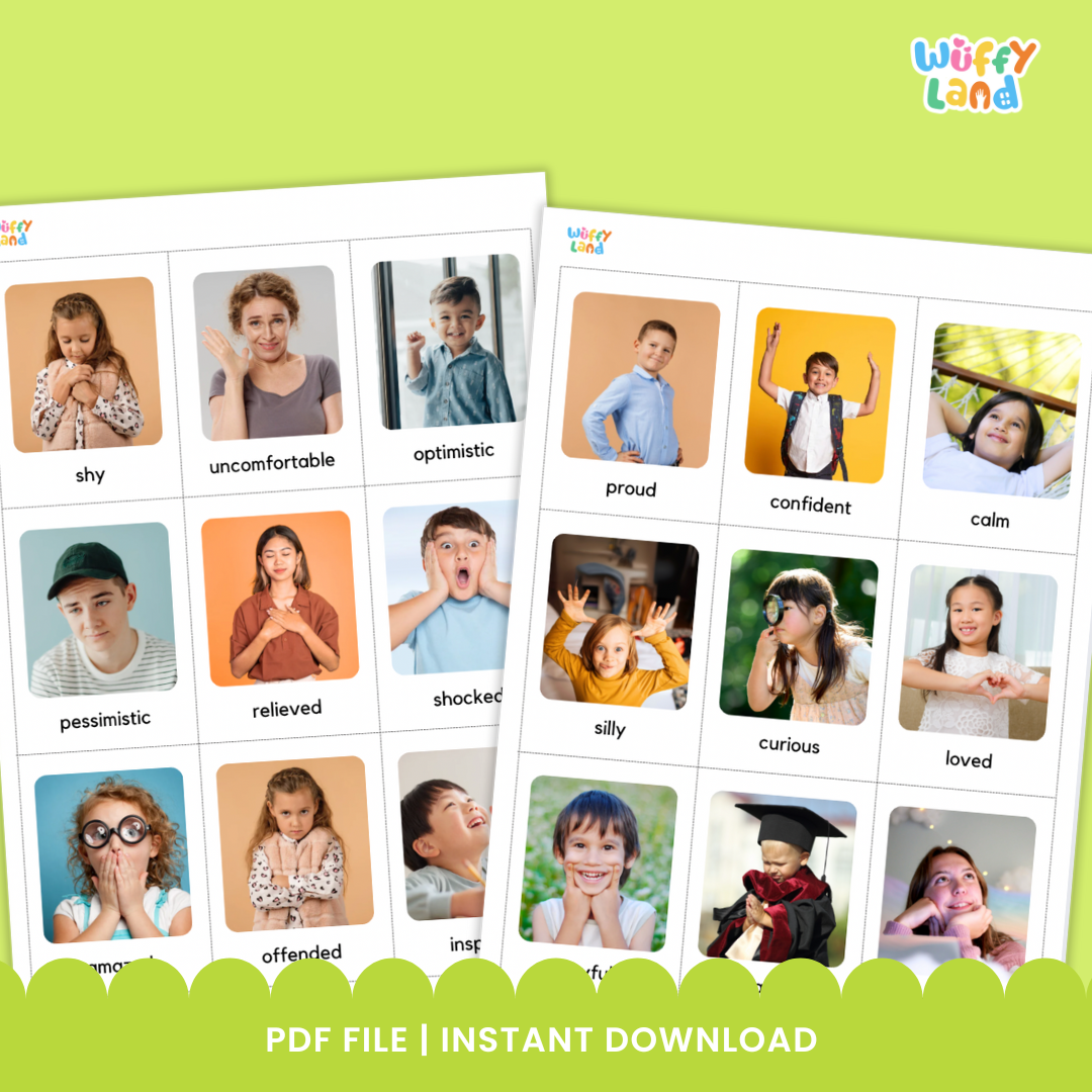 Kartu Flash Emosi Perasaan Autisme Pendidikan Khusus dengan Gambaran Nyata