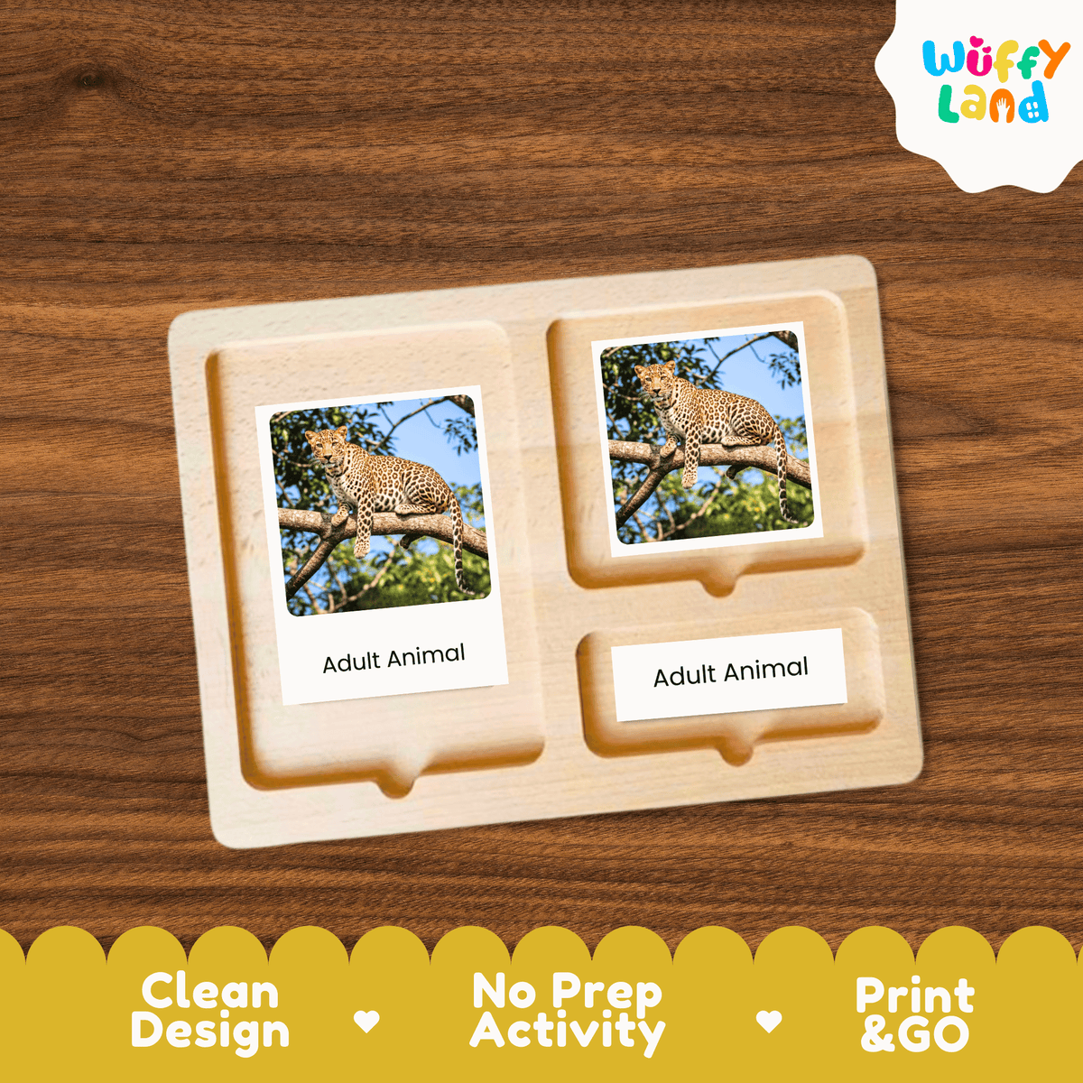 Leopard Life Cycle Montessori 3-Part Cards - Science Zoology Mammal Flashcards