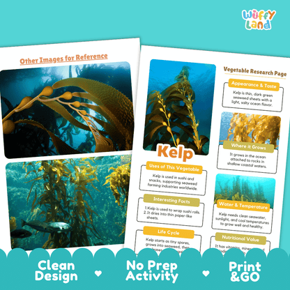 Kelp Vegetable Research Page Worksheets and Fact Sheet