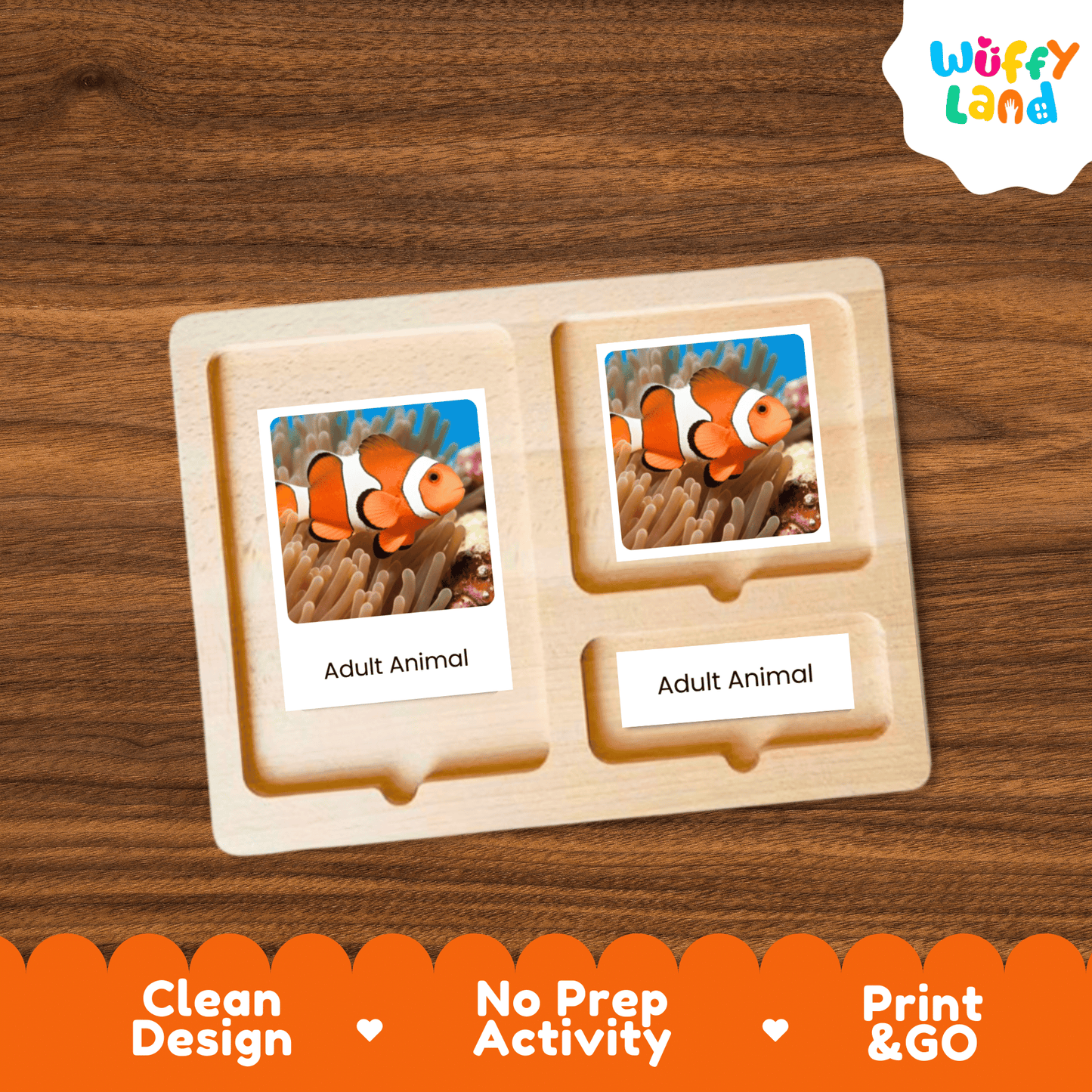 Fish Life Cycle Montessori 3-Part Cards - Science Zoology Marine Flashcards