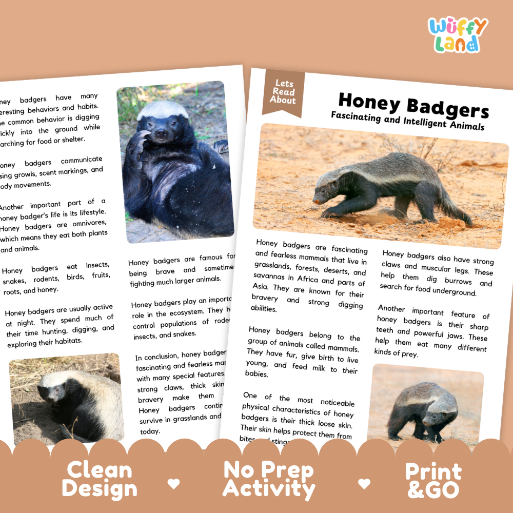 Honey Badger Reading Passage and Comprehension Questions with Answer Key Worksheets