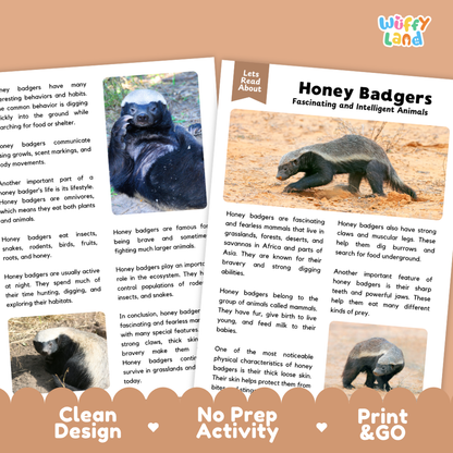 Honey Badger Reading Passage and Comprehension Questions with Answer Key Worksheets