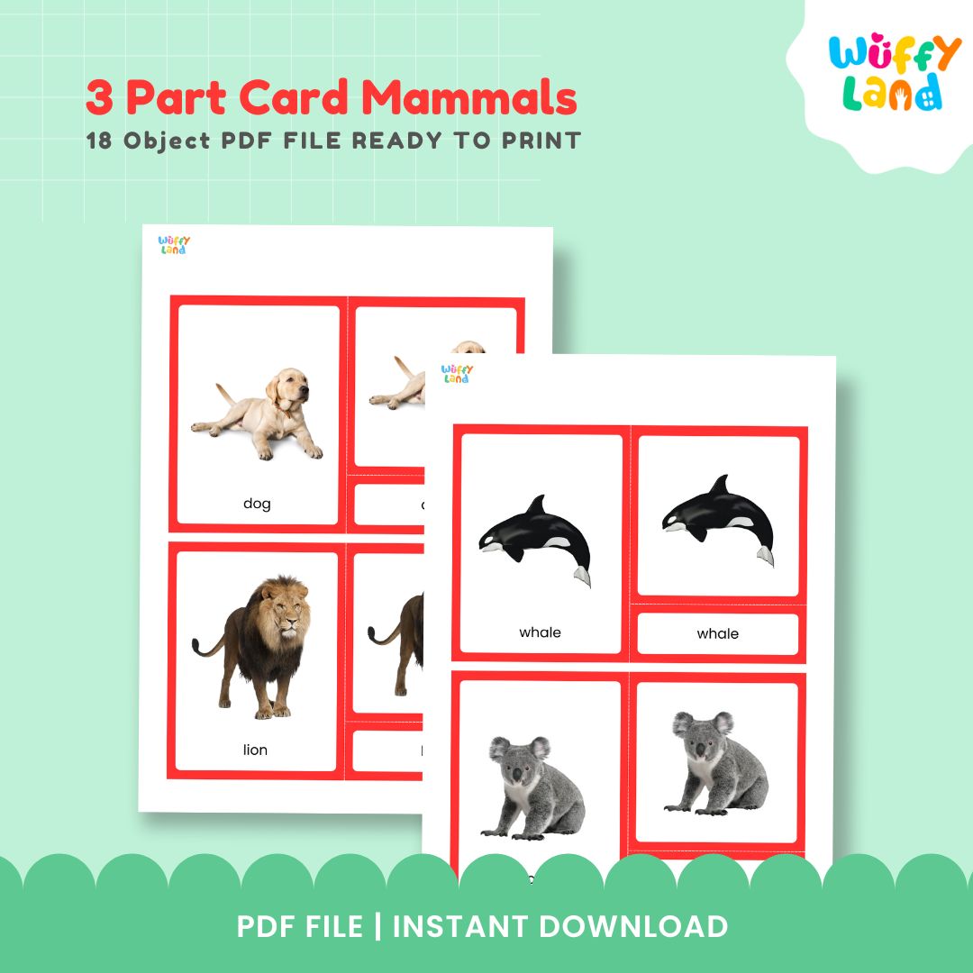 Jenis-jenis Mamalia MONTESSORI 3 bagian kartu GAMBAR NYATA 