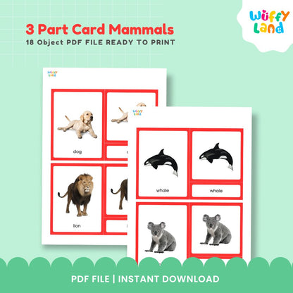 Jenis-jenis Mamalia MONTESSORI 3 bagian kartu GAMBAR NYATA 