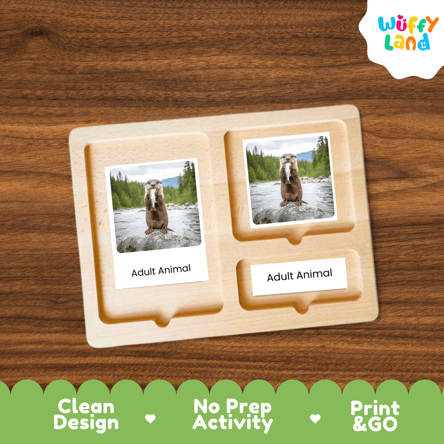 Otter Life Cycle Montessori 3-Part Cards - Science Zoology Mammal Flashcards