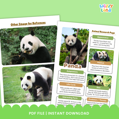 Panda: Teks Informasi Hewan dan Halaman Penulisan Laporan