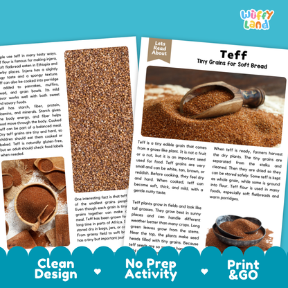 Teff Reading Passage and Comprehension Questions Worksheets with Answer Key