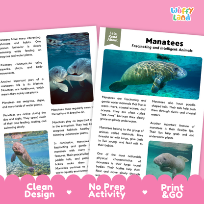 Manatee Reading Passage and Comprehension Questions with Answer Key Worksheets