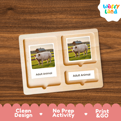 Pig Life Cycle Montessori 3-Part Cards - Science Zoology Flashcard