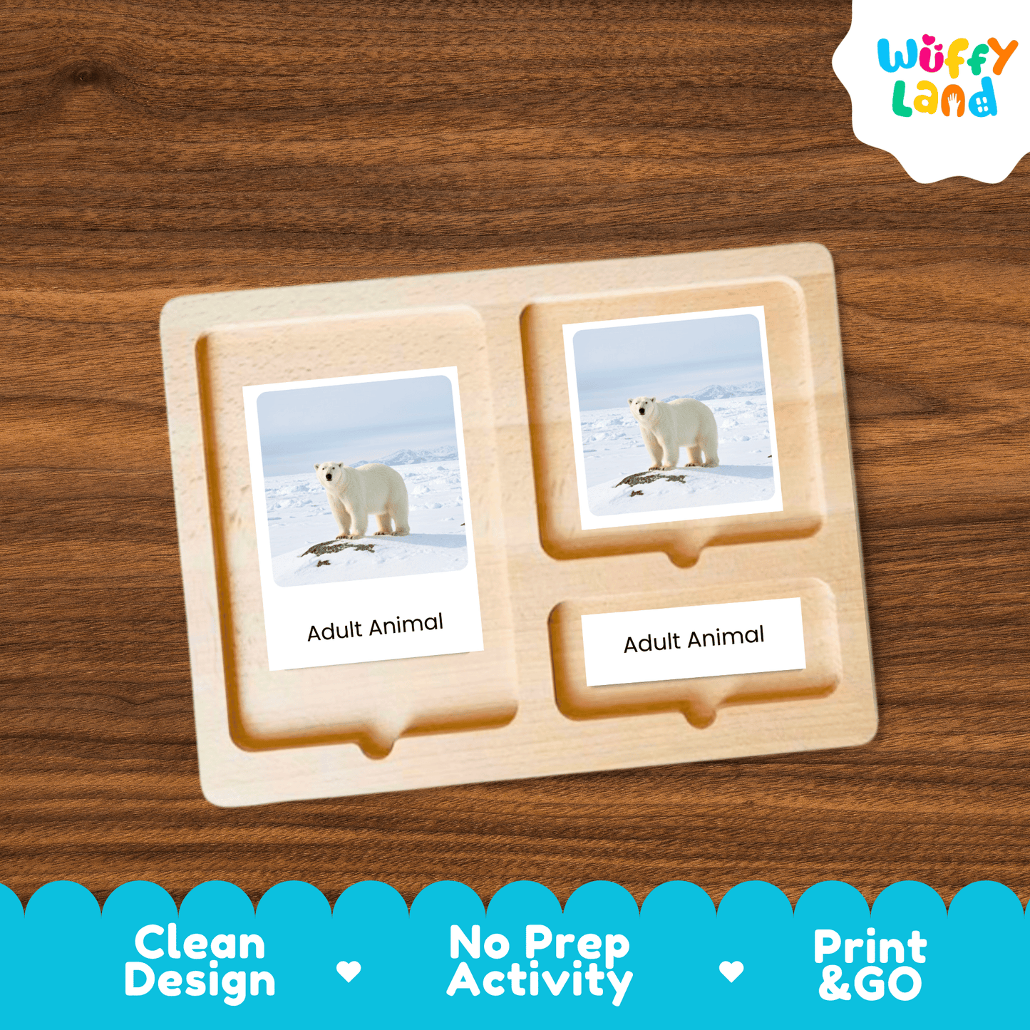 Polar Bear Life Cycle Montessori 3-Part Cards - Science Zoology Mammal Flashcard
