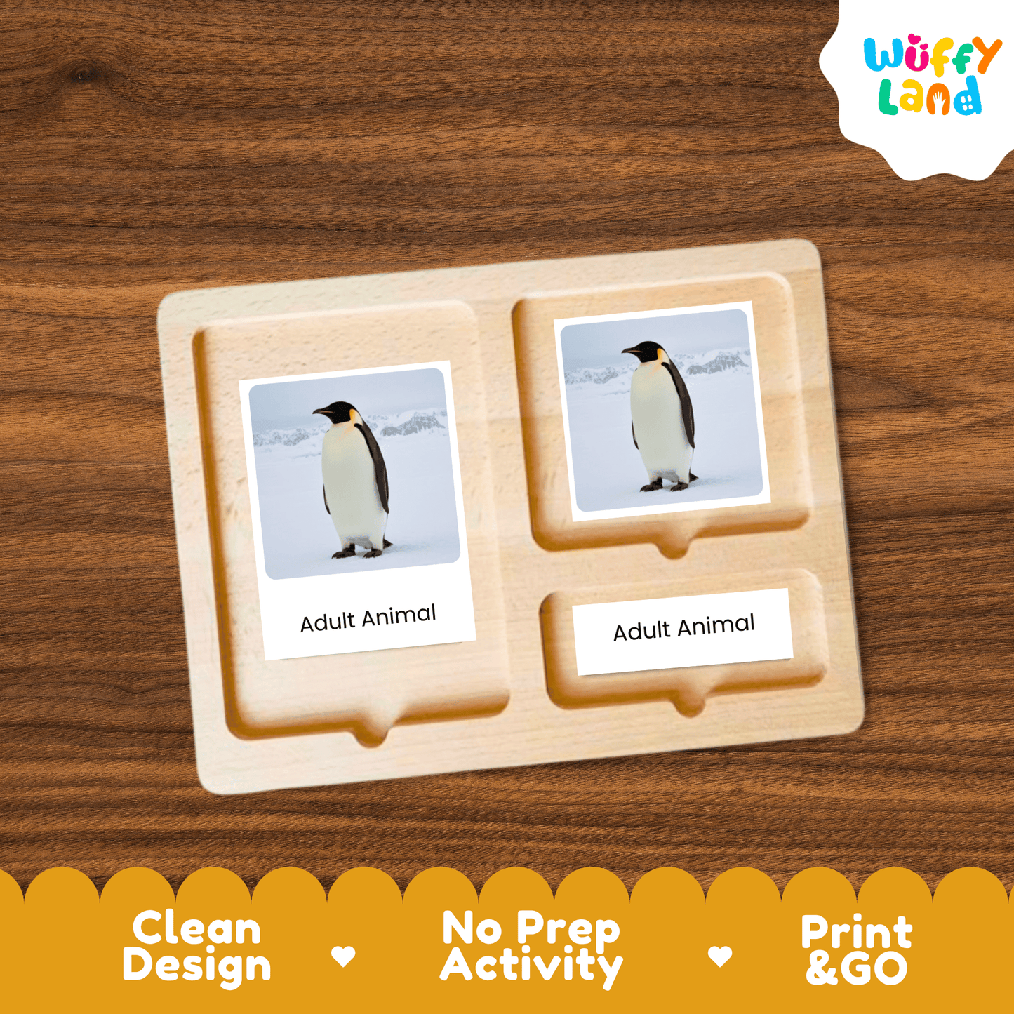 Penguin Life Cycle Montessori 3-Part Cards - Science Zoology Flashcards