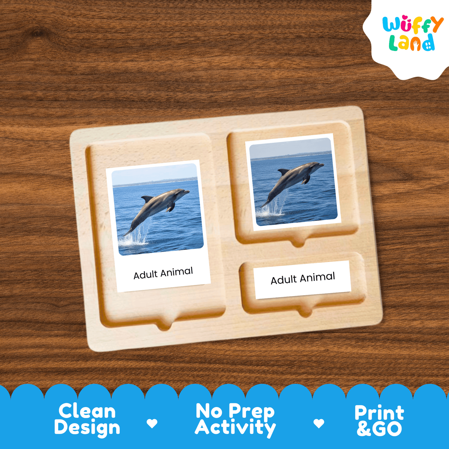 Dolphin Life Cycle Montessori 3-Part Cards - Science Zoology Flashcards