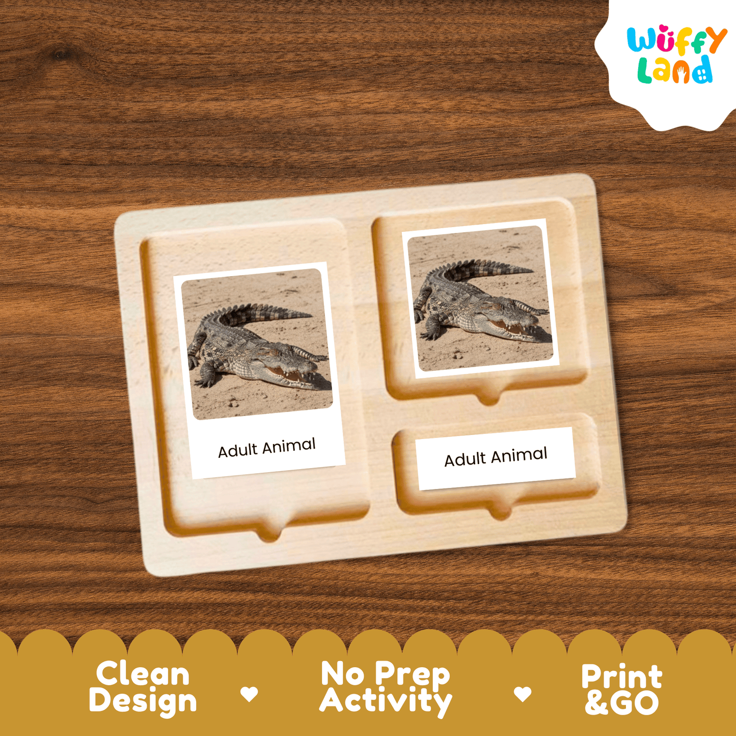 Crocodile Life Cycle Montessori 3-Part Cards - Science Zoology Reptile Flashcard
