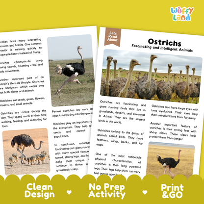 Ostrich Reading Passage and Comprehension Questions Worksheets