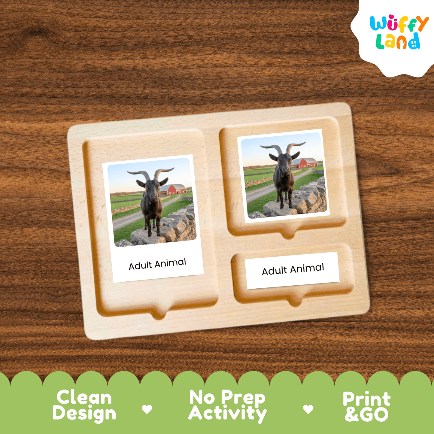 Goat Life Cycle Montessori 3-Part Cards - Science Zoology Flashcard
