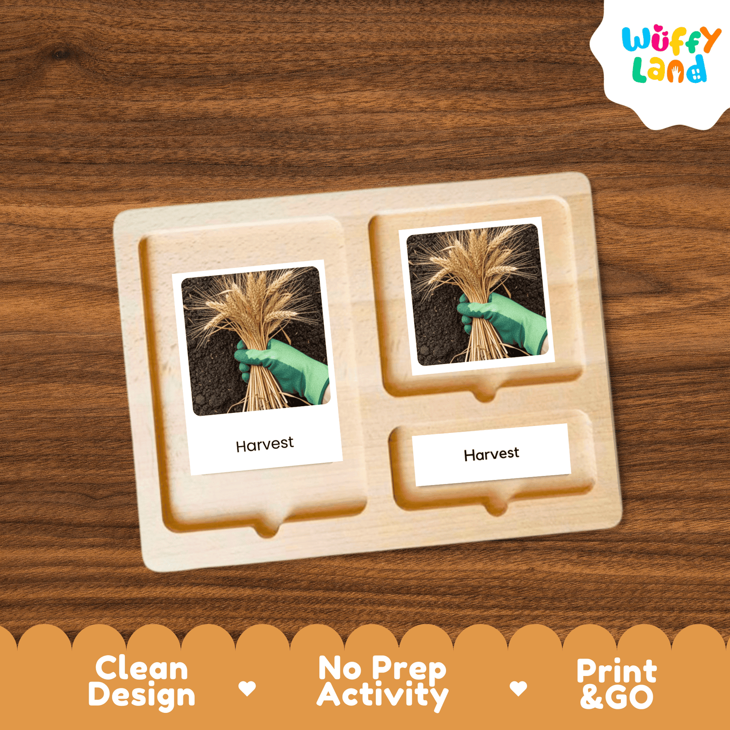 Wheat Life Cycle Montessori 3-Part Cards - Science Botany Flashcards