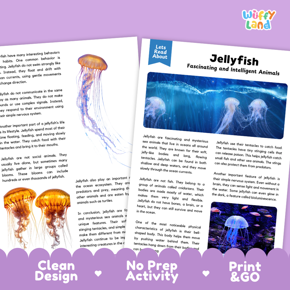 Jellyfish Reading Passage and Comprehension Questions Worksheets