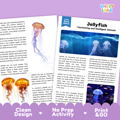 Jellyfish Reading Passage and Comprehension Questions Worksheets