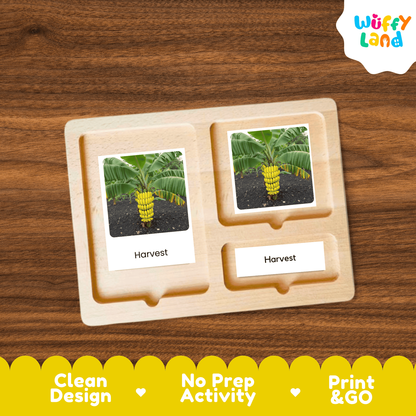 Banana Life Cycle Montessori 3-Part Cards - Science Botany Flashcards