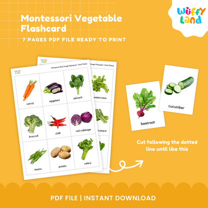 Montessori Vegetable Flashcard