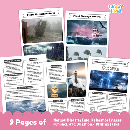 Storm Natural Disaster Research Project | Earth Science Worksheets