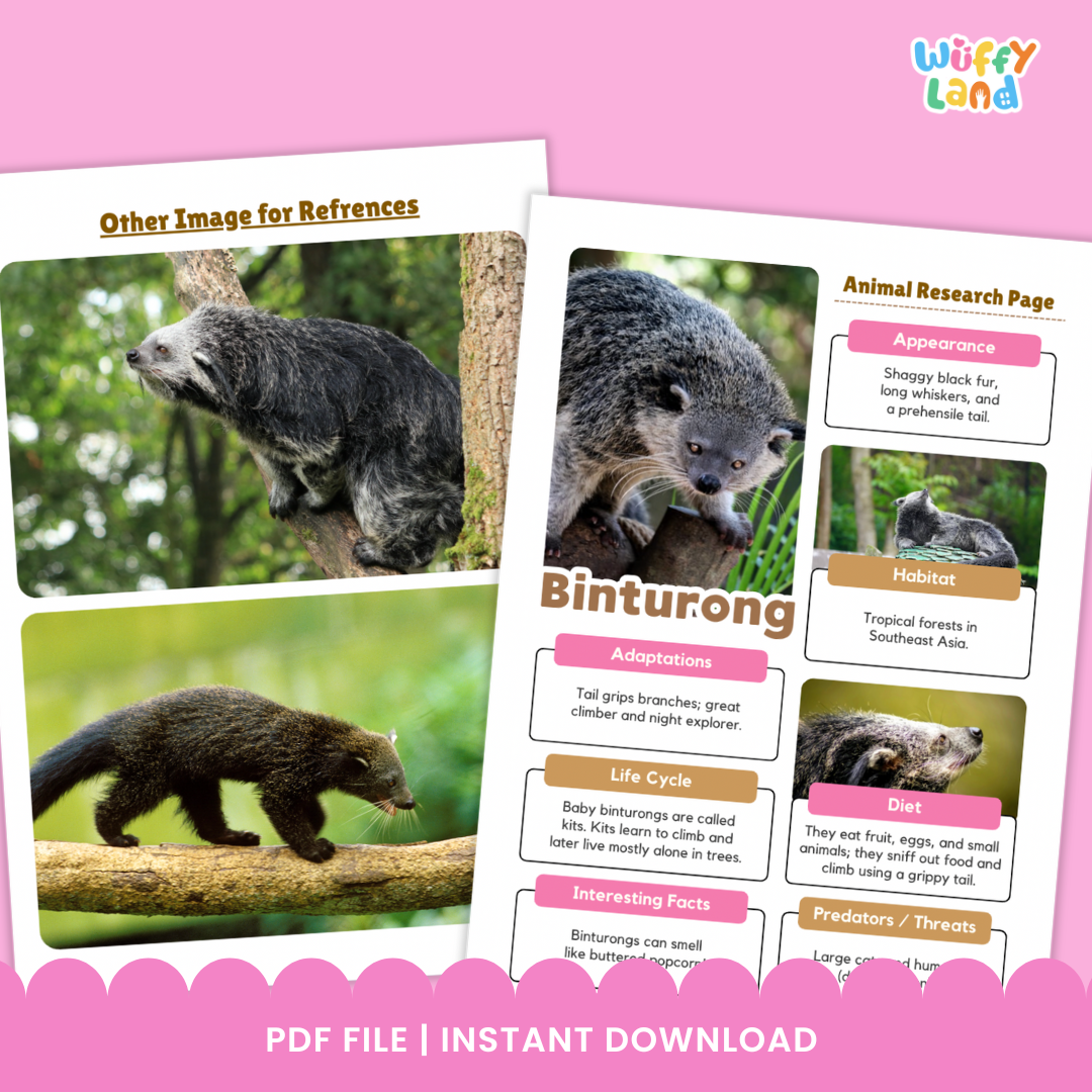 Teks Informasi Hewan Binturong dan Halaman Penulisan Laporan