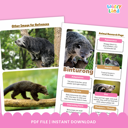 Teks Informasi Hewan Binturong dan Halaman Penulisan Laporan