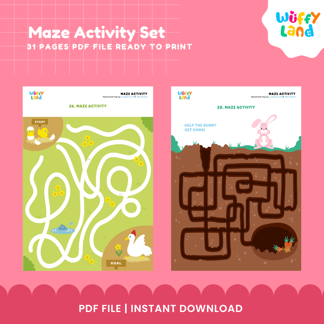 Maze Activity Set