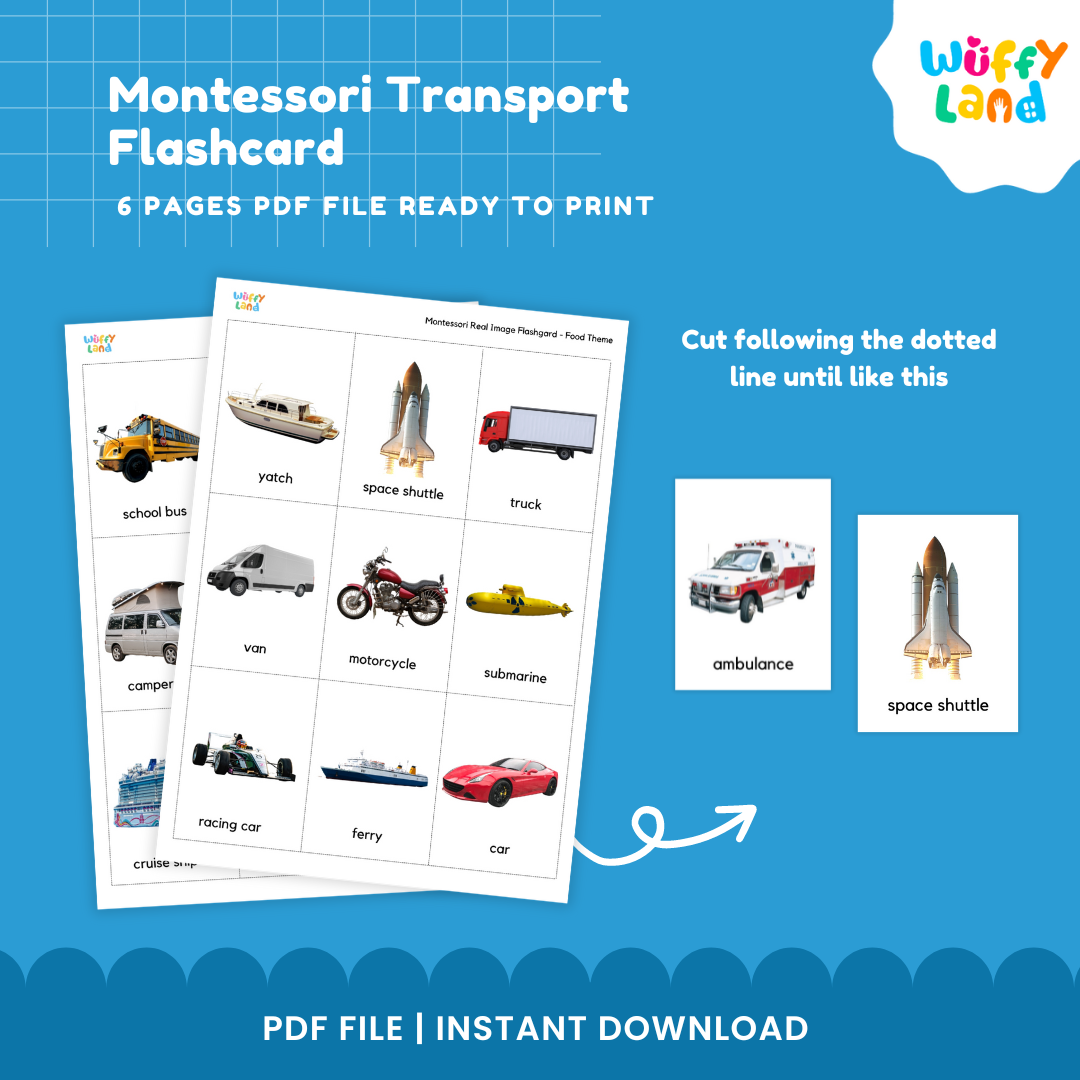 Montessori Transport Flashcard