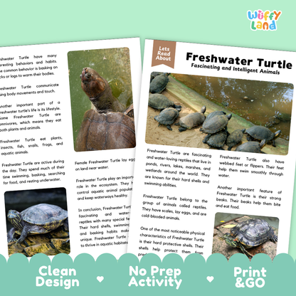 Freshwater Turtle Reading Passage and Questions Worksheets with Answer Key