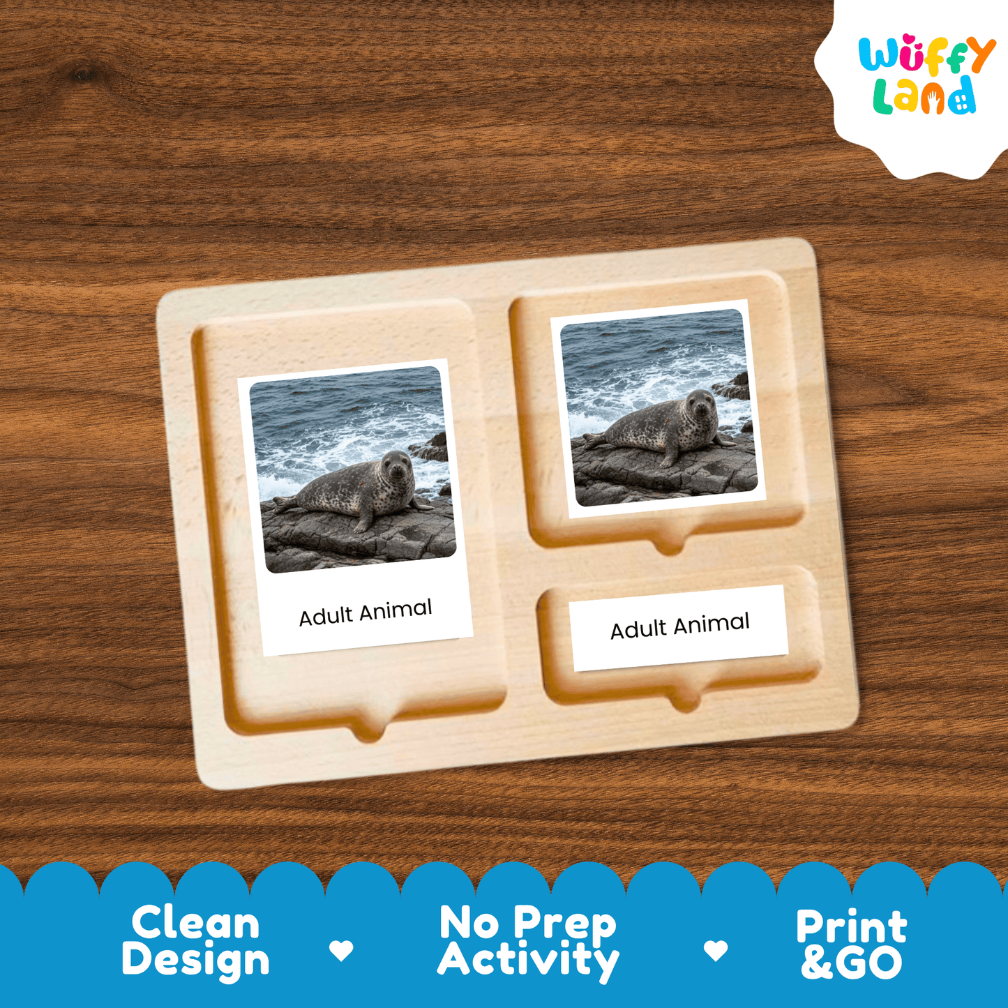 Seal Life Cycle Montessori 3-Part Cards - Science Zoology Marine Flashcards