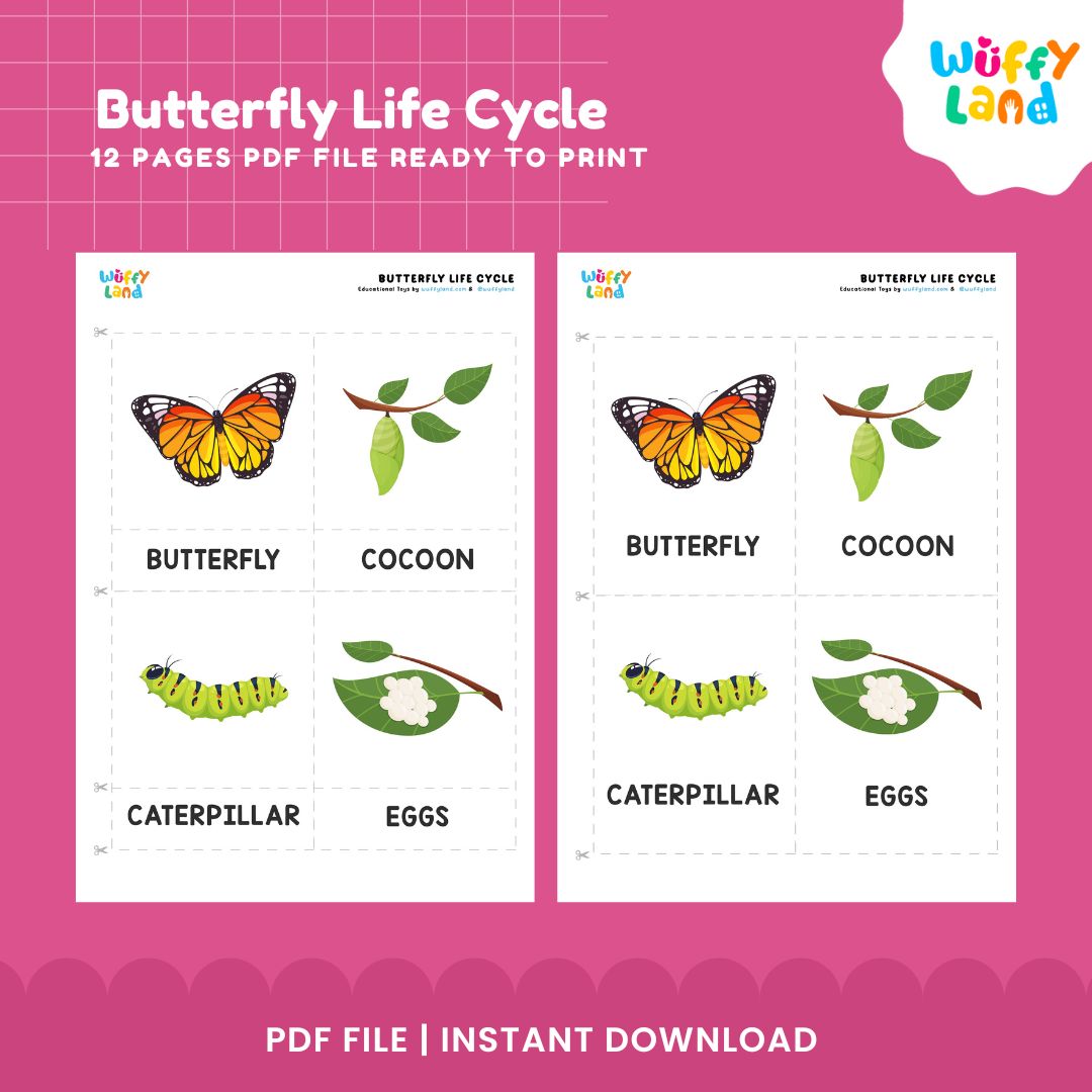 Butterfly Life Cycle Printable - Life Cycle Learning for Kids