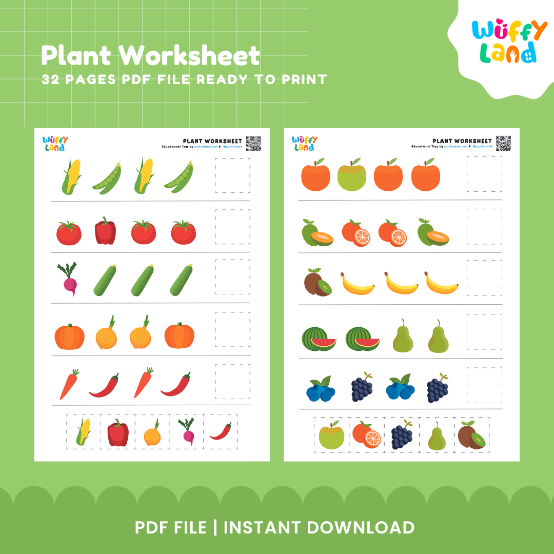 Plant Learning Worksheets for Kids - Printable Education Activities