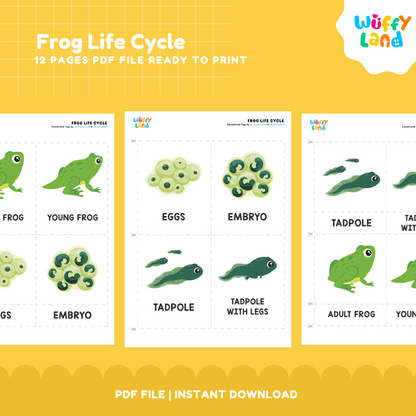 Frog Life Cycle Printable - Fun & Educational Science Activity for Kids