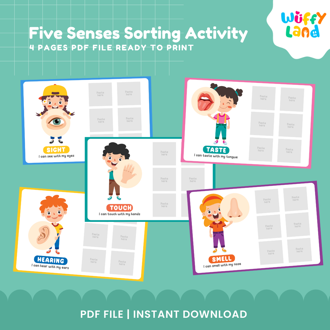 Five Senses Sorting Activity