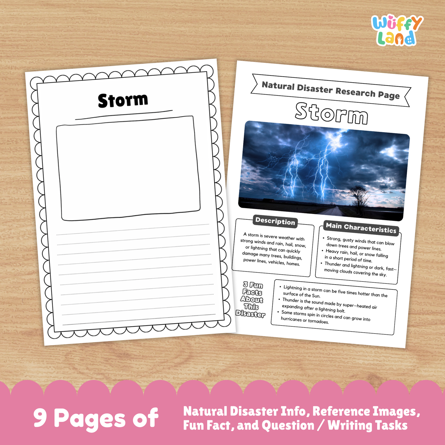 Storm Natural Disaster Research Project | Earth Science Worksheets