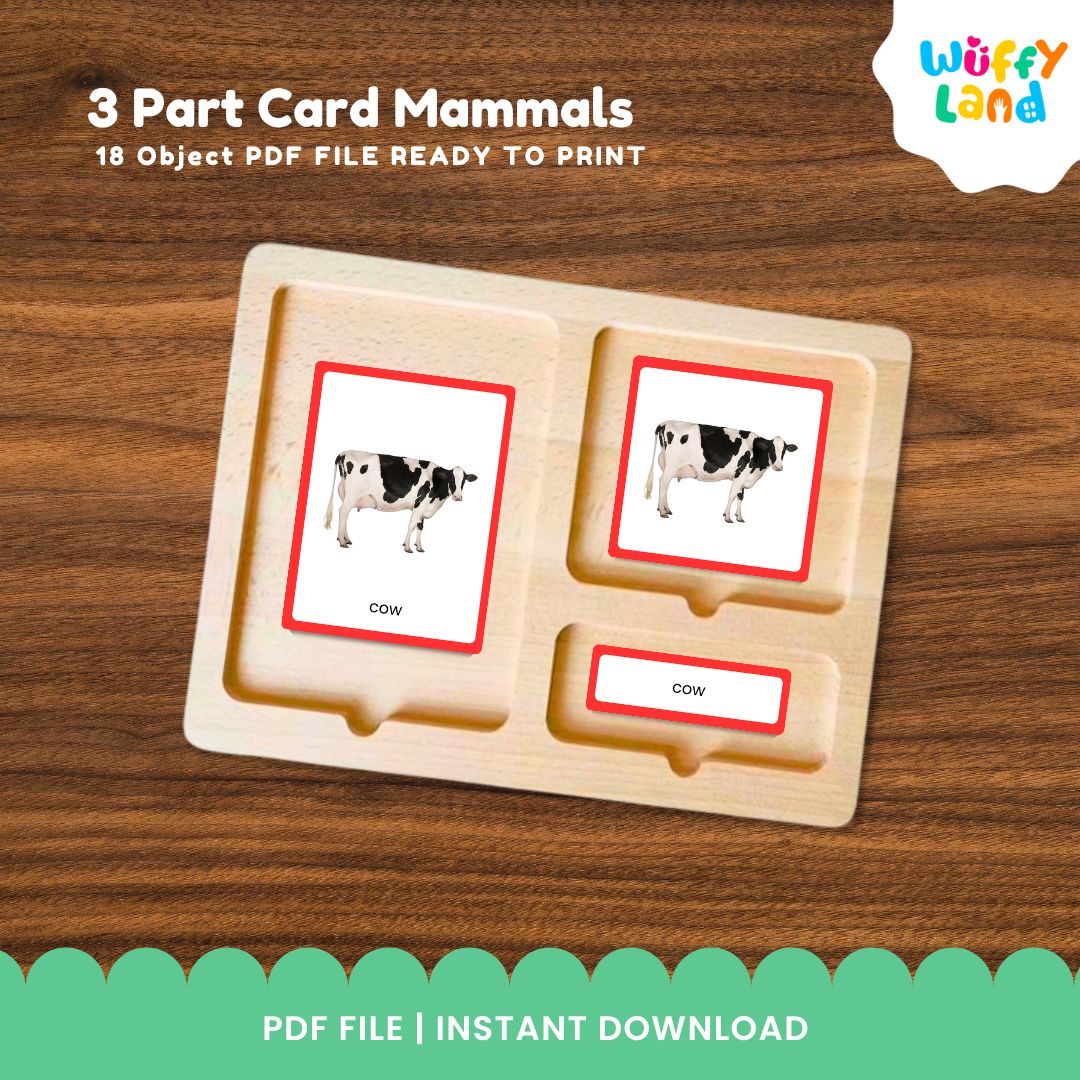 Jenis-jenis Mamalia MONTESSORI 3 bagian kartu GAMBAR NYATA 