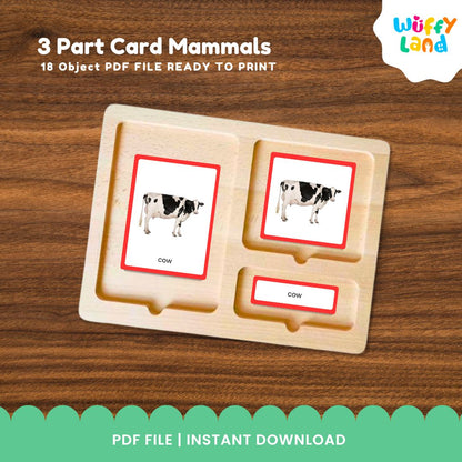 Jenis-jenis Mamalia MONTESSORI 3 bagian kartu GAMBAR NYATA 