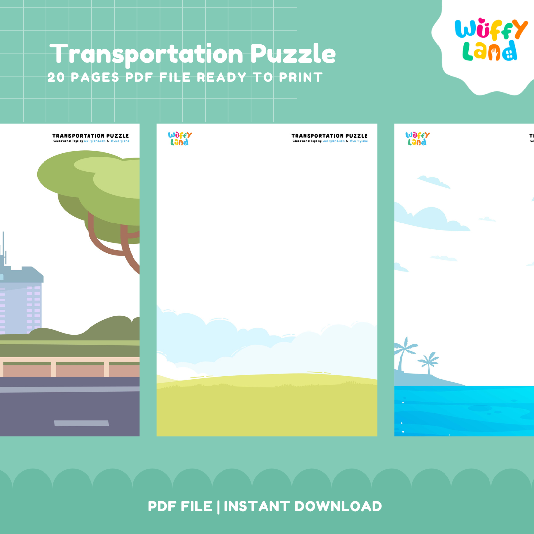 Transportation Puzzle