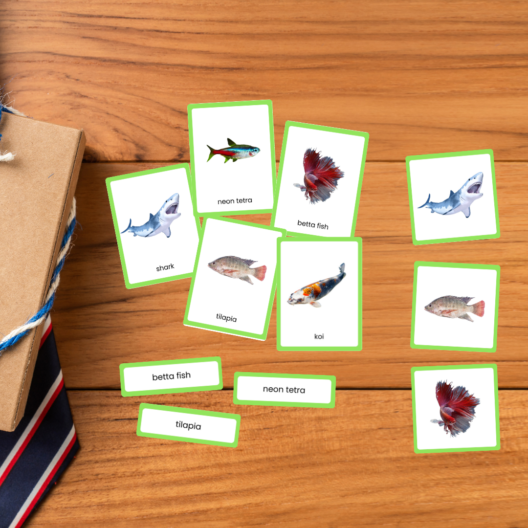 Kartu Montessori 3 Bagian Seri Zoologi IKAN Gambar Asli
