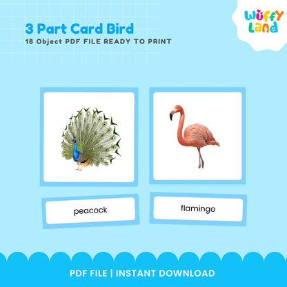 Kartu 3 Bagian Montessori Seri Burung Zoologi 