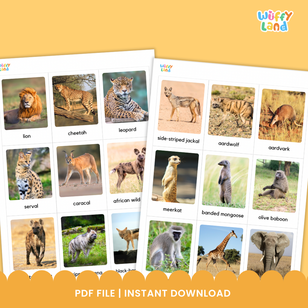 Kartu Flash Habitat Hewan Savana – 54 Hewan dengan Foto Asli