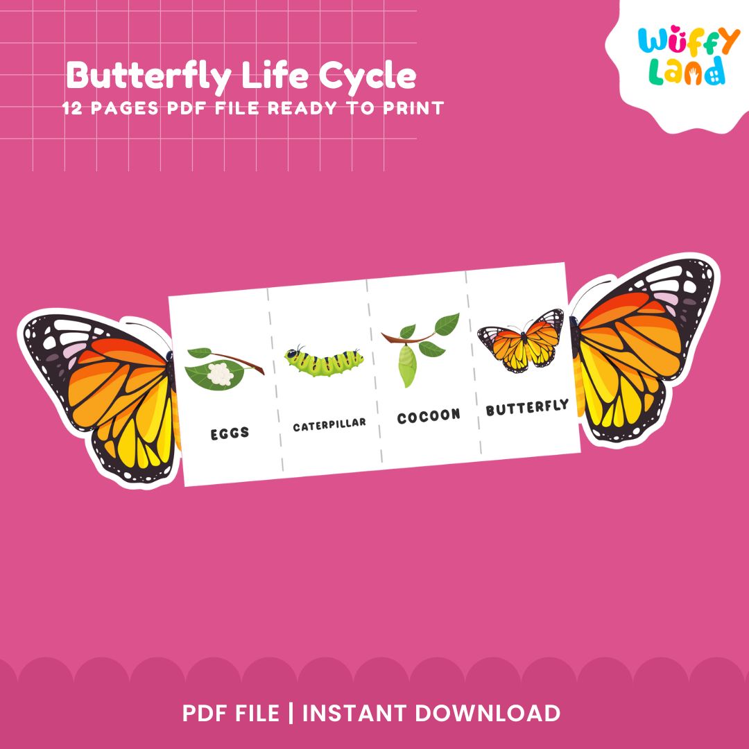 Butterfly Life Cycle Printable - Life Cycle Learning for Kids